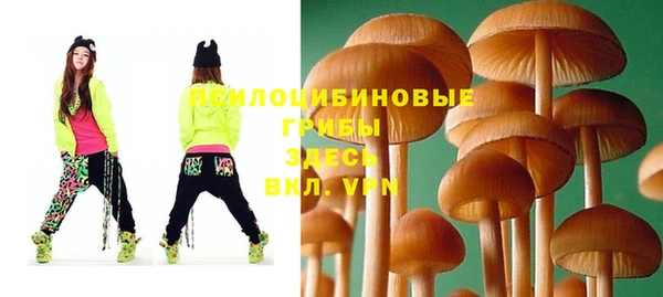 mdpv Кинешма