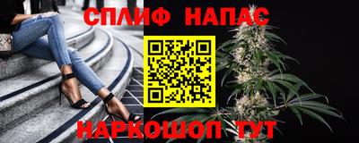 индика Балашиха