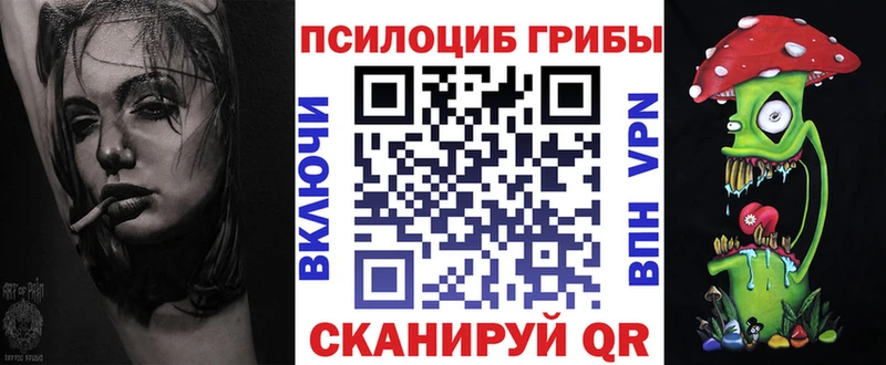 дарнет шоп  Санкт-Петербург  Галлюциногенные грибы MAGIC MUSHROOMS 
