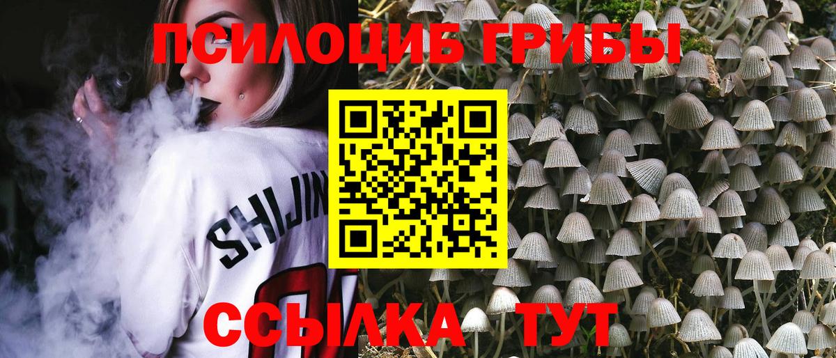 ГАШ Санкт-Петербург